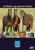 At ride og passe hest