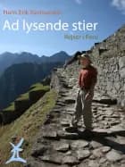Ad lysende stier