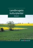 Landbrugets kulturplanter