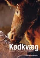 Kødkvæg af Torben Worsøe og Peter Winther Mogensen