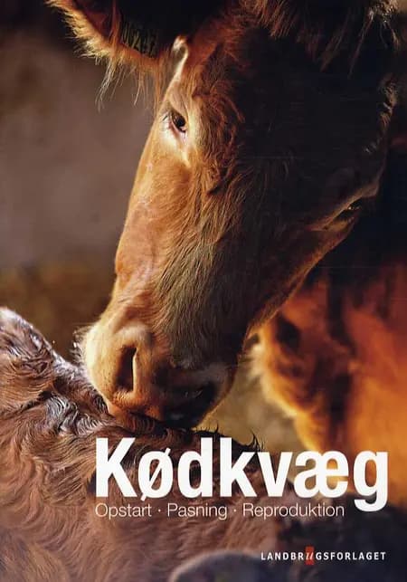 Kødkvæg af Torben Worsøe