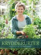 Krydderurter
