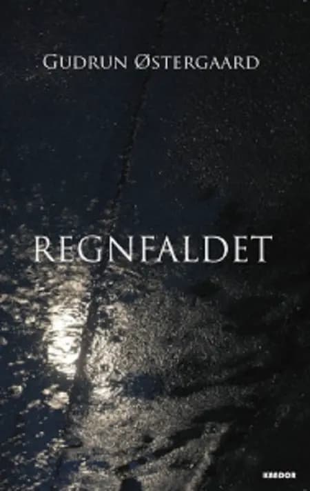 Regnfaldet af Gudrun Østergaard