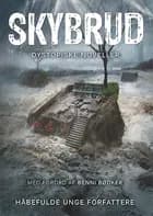 Skybrud