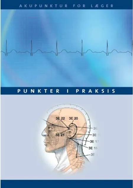 Punkter i praksis 