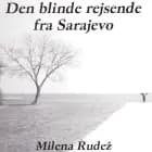 Den blinde rejsende fra Sarajevo