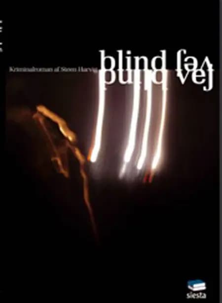 Blind vej af Steen Harvig