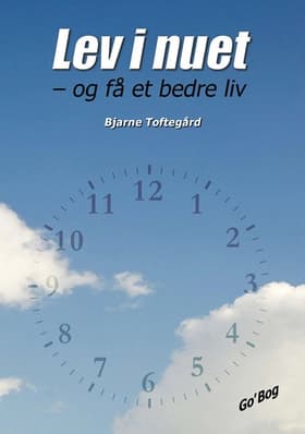 Lev i nuet af Bjarne Toftegård