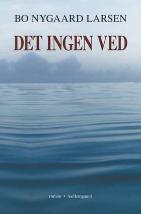 Det ingen ved af Bo Nygaard Larsen