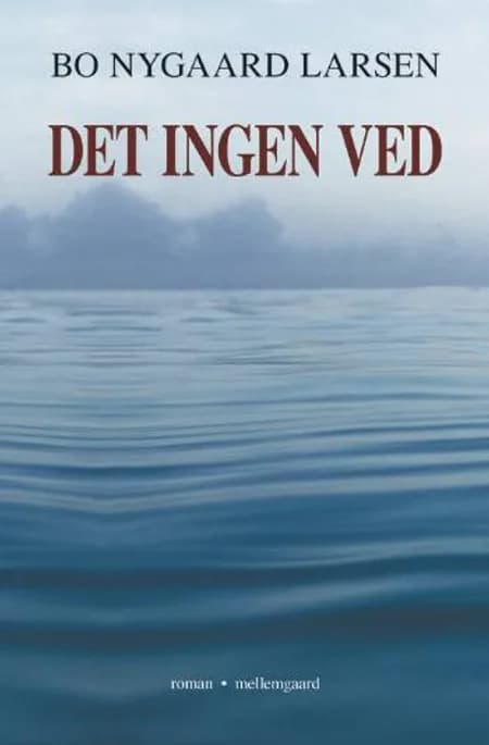 Det ingen ved af Bo Nygaard Larsen