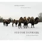 Syd for Danmark