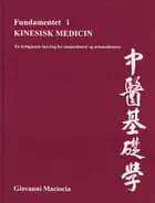 Fundamentet i kinesisk medicin