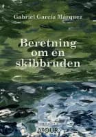 Beretning om en skibbruden af Gabriel García Márquez