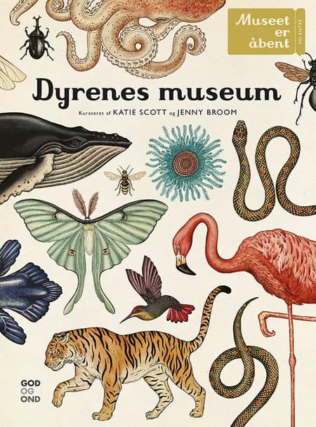 Dyrenes museum af Katie Scott