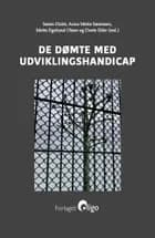 De dømte med udviklingshandicap af Søren Holst, Mette Egelund Olsen og Dorte Eifer og Anne Mette Sørensen