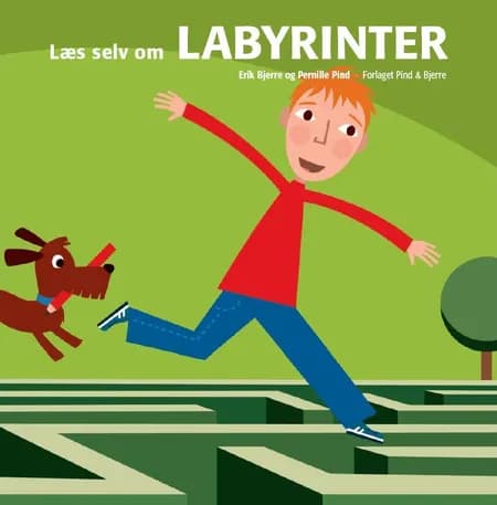 Læs selv om labyrinter af Magnus Pind