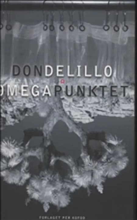 Omegapunktet af undefined
