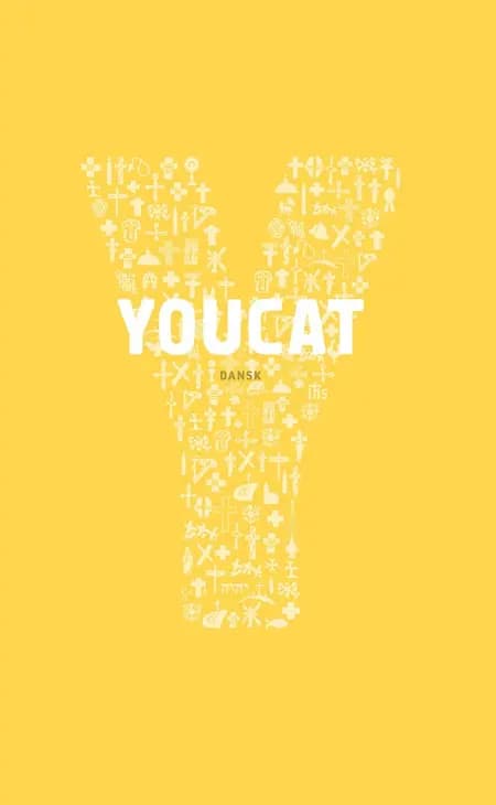 YOUCAT dansk af Johannes zu Eltz