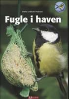 Fugle i haven af Birthe Lindholm Pedersen