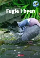 Fugle i byen af Birthe Lindholm Pedersen