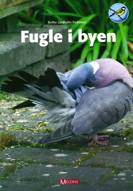Fugle i byen af Birthe Lindholm Pedersen