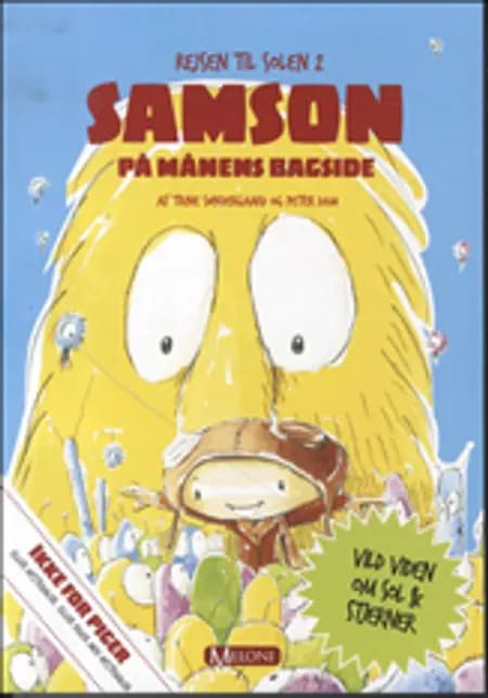 Samson på månens bagside af Trine Søndergaard