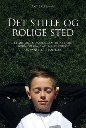Det stille og rolige sted af Amy Saltzman