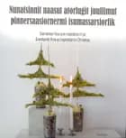 Nunatsinnit naasut atorlugit juullimut pinnersaasiornermi isumassarsiorfik af Cecilie Heilmann