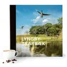 Lyngby-Taarbæk  Flere fragmenter af Morten Ehrhorn og Justin Hummerston