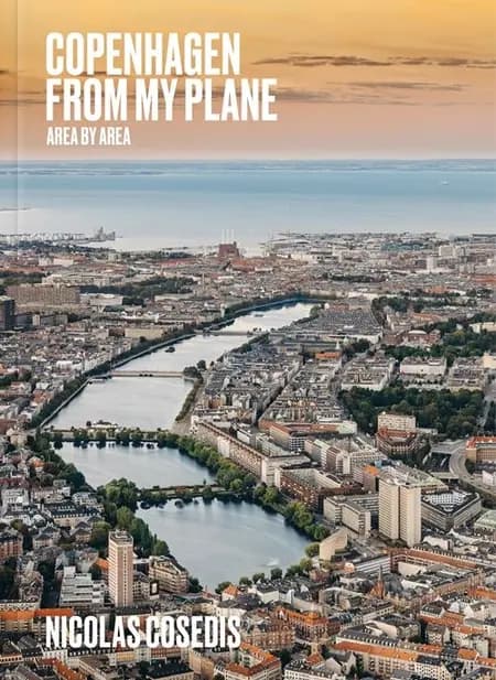 Copenhagen from My Plane af Nicolas Cosedis