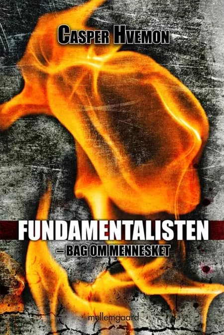 Fundamentalisten af Casper Hvemon