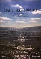 Det vi ikke altid ser af Pia Rung Andersen