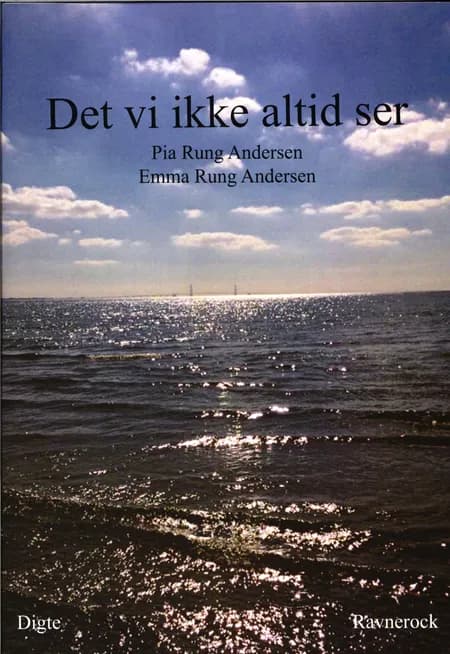 Det vi ikke altid ser af Pia Rung Andersen