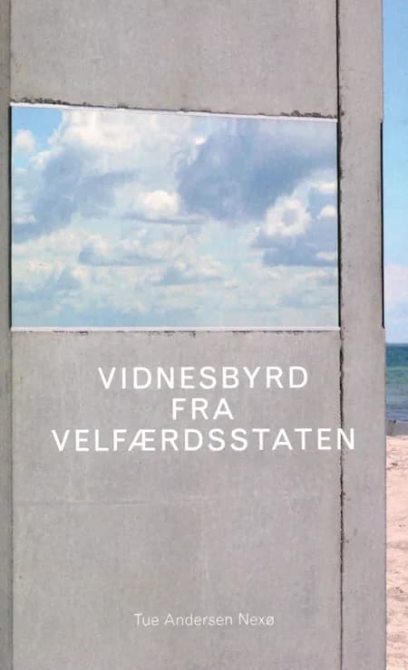 Vidnesbyrd fra velfærdsstaten af Tue Andersen Nexø