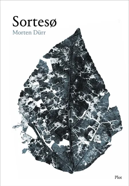 Sortesø af Morten Dürr