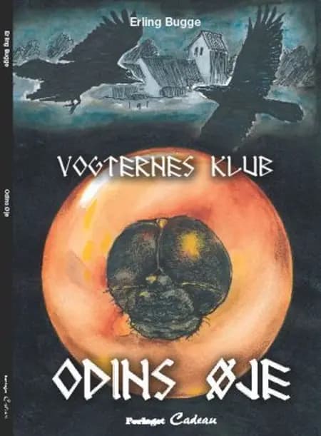 Odins øje af Erling Bugge