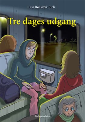 Tre dages udgang af Lisa Rossavik Rich
