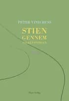 Stien gennem dalelysningen