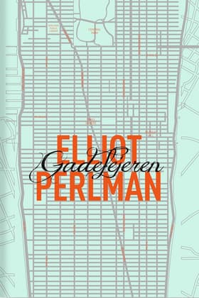 Gadefejeren af Elliot Perlman