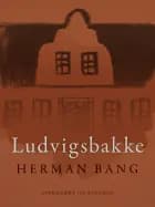 Ludvigsbakke