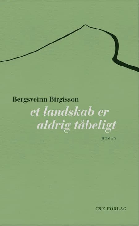 Et landskab er aldrig tåbeligt af Bergsveinn Birgisson
