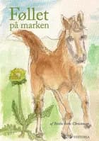 Føllet på marken af Birthe Irene Christensen