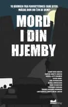Mord i din hjemby af Hanne Bech Hansen, Rune Stefansson og Mikkel Birkegaard