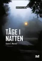 Tåge i natten af Karsten S. Mogensen