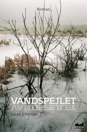 Vandspejlet af Sarah Effersøe