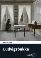 Ludvigsbakke