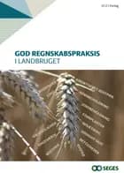 God regnskabspraksis