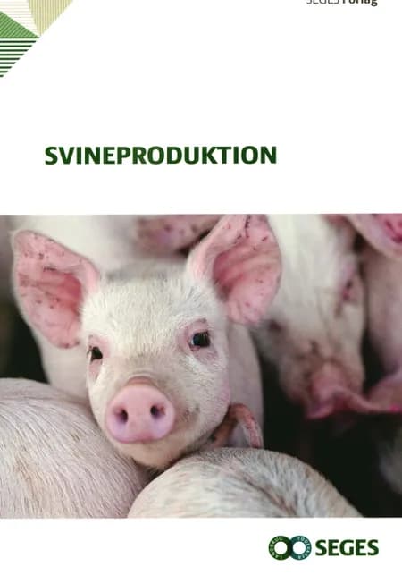 Svineproduktion af Maria Eskildsen