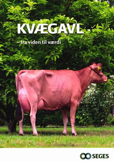 Kvægavl af Jens Christian Holgaard
