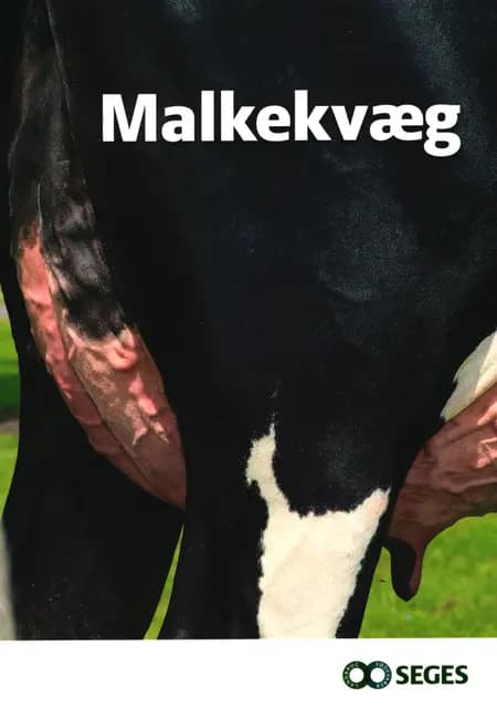 Malkekvæg af Per Justesen